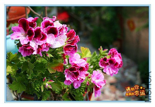 ��Ƭ 084_����.jpg