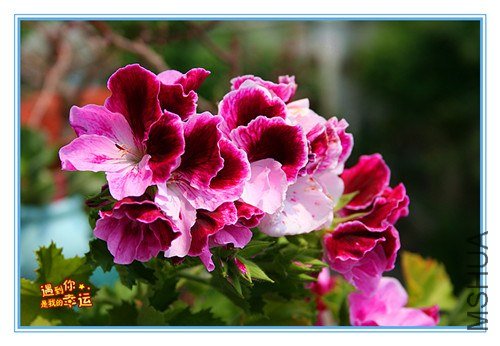 ��Ƭ 086_����.jpg