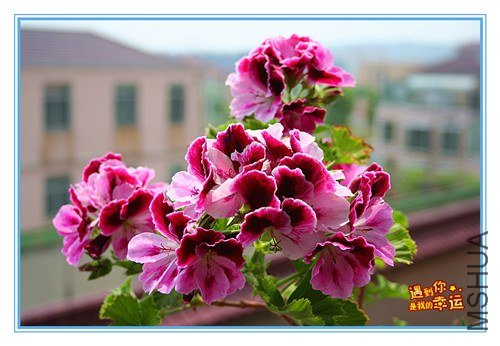 ��Ƭ 088_����.jpg