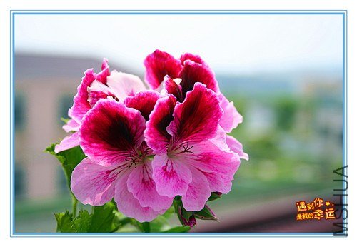 ��Ƭ 090_����.jpg