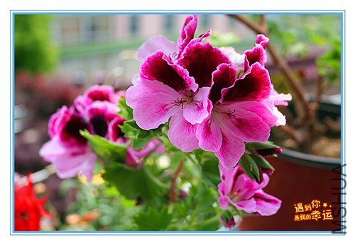 ��Ƭ 092_����.jpg