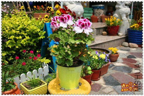 ��Ƭ 034_����.jpg