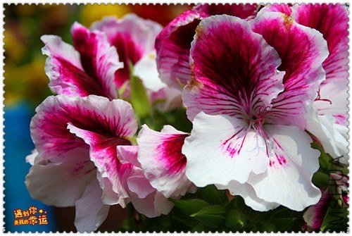 ��Ƭ 039_����.jpg