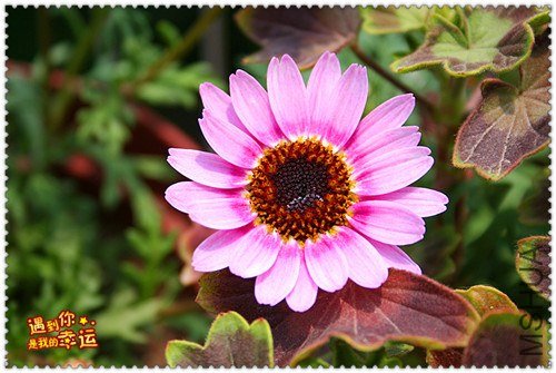 ��Ƭ 095_����.jpg