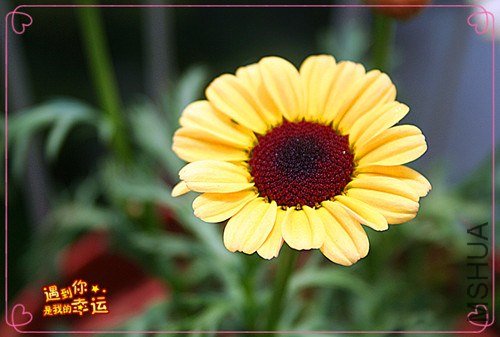 ��Ƭ 096_����.jpg