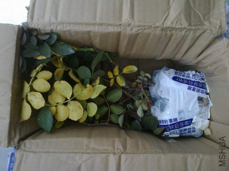 ��Ƭ0339.jpg