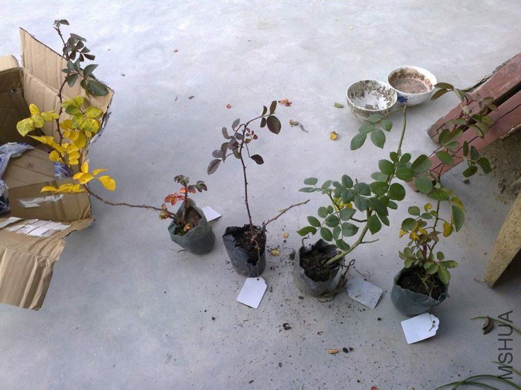 ��Ƭ0344.jpg