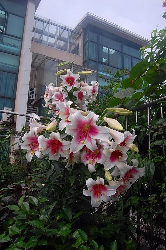 DSC_00110011.JPG