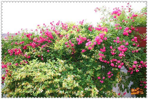 ��Ƭ 072_����.jpg