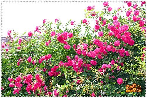 ��Ƭ 073_����.jpg