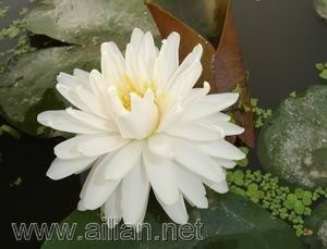 QQͼƬ20130610222153.jpg