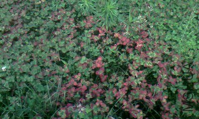 20130609_1120_0.jpg