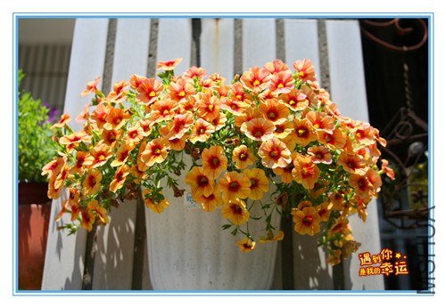 ��Ƭ 240_����.jpg