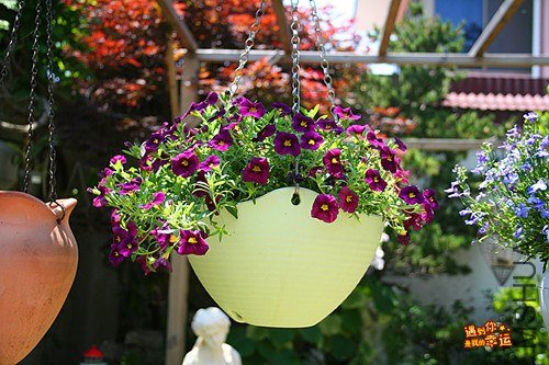 ��Ƭ 229_����.jpg