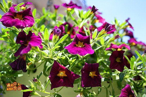 ��Ƭ 232_����.jpg