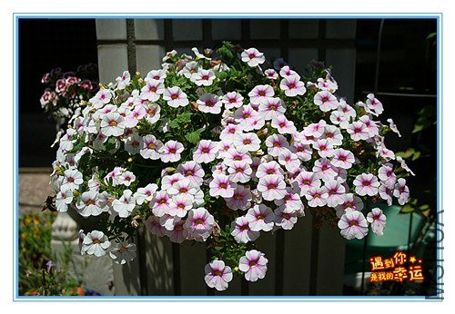 ��Ƭ 242_����.jpg