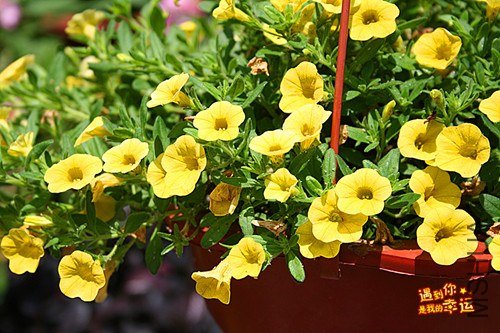 ��Ƭ 223_����.jpg