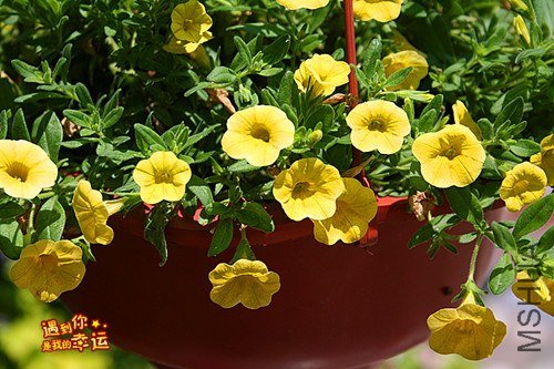 ��Ƭ 225_����.jpg