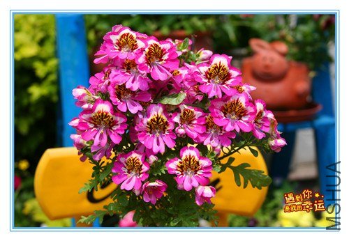 ��Ƭ 045_����.jpg