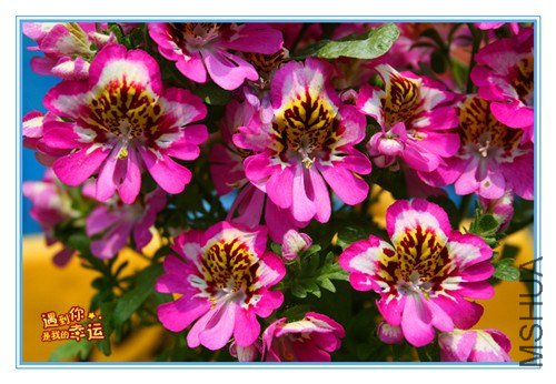 ��Ƭ 047_����.jpg