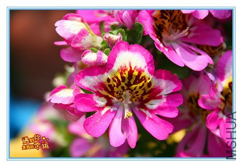 ��Ƭ 049_����.jpg