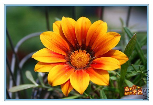 ��Ƭ 107_����.jpg