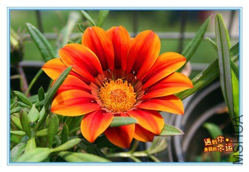 ��Ƭ 108_����.jpg