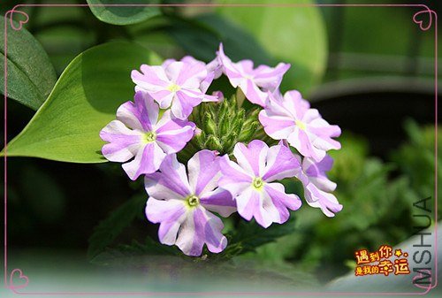 ��Ƭ 111_����.jpg