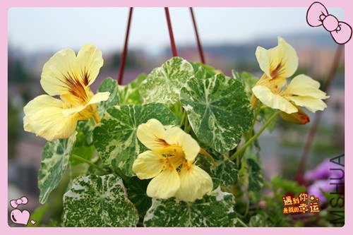 ��Ƭ 118_����.jpg