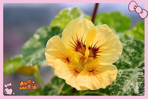 ��Ƭ 120_����.jpg