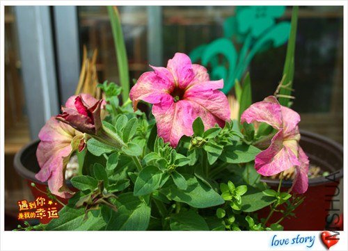 ��Ƭ 121_����.jpg