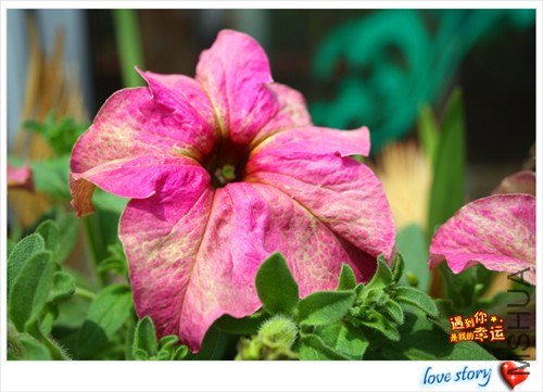 ��Ƭ 123_����.jpg