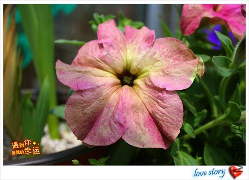 ��Ƭ 125_����.jpg