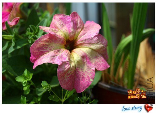 ��Ƭ 127_����.jpg