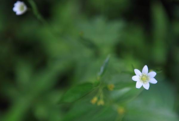 ������ (4).JPG