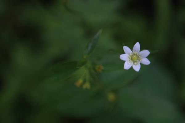 ������ (5).JPG