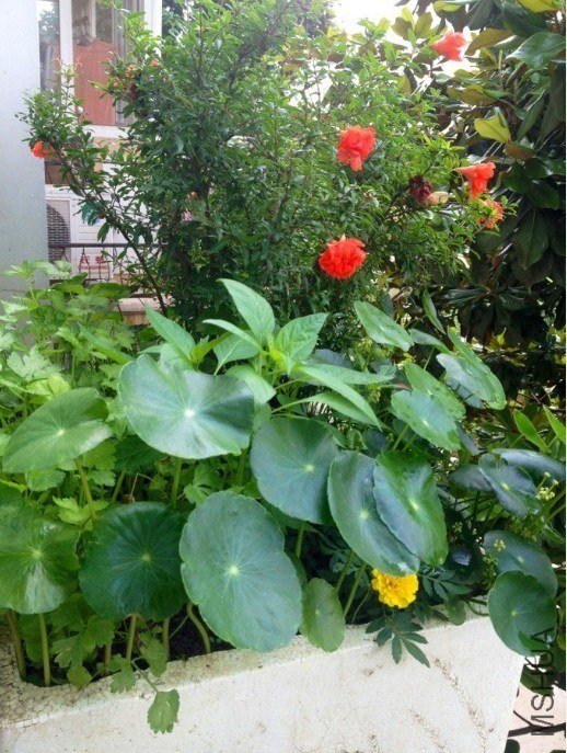 QQͼƬ20130612112831.jpg
