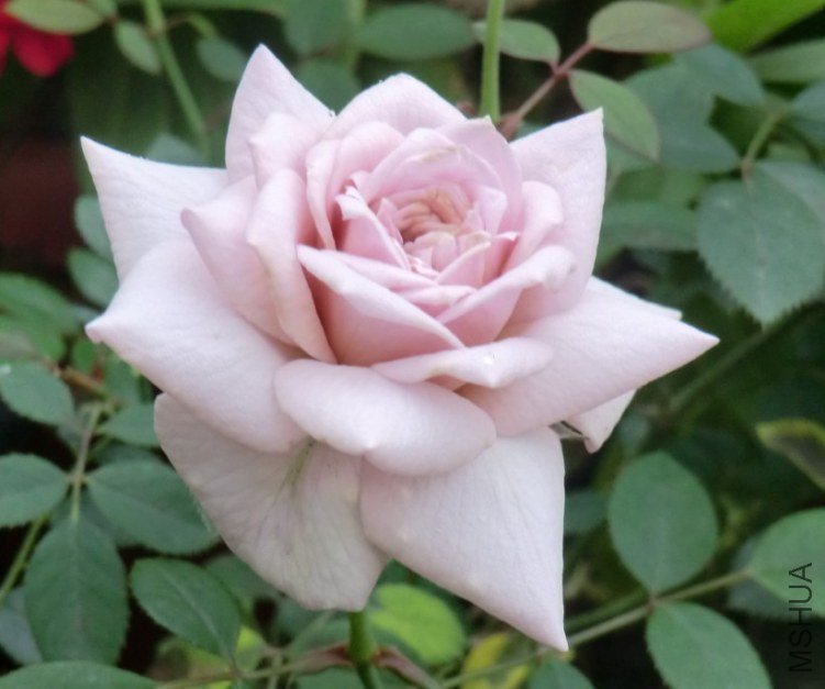 QQͼƬ20130612135138.jpg
