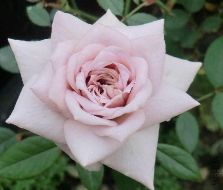 QQͼƬ20130612135114.jpg