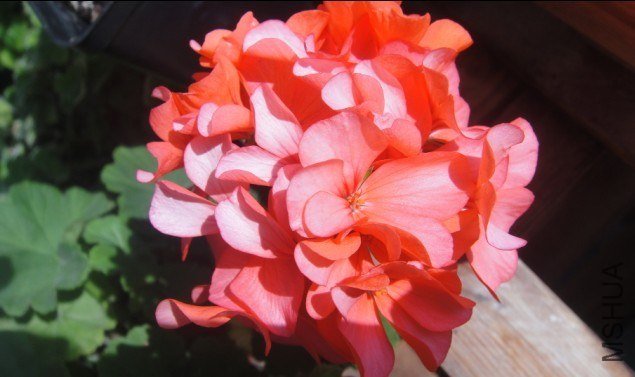 ɺ���죨�ļ����ģ�