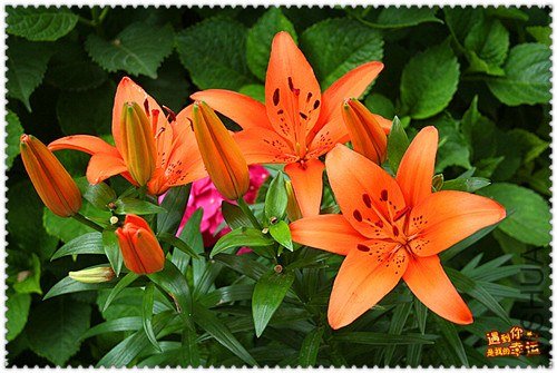 ��Ƭ 022_����.jpg