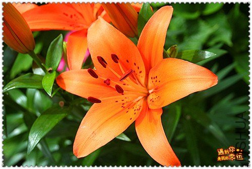 ��Ƭ 025_����.jpg