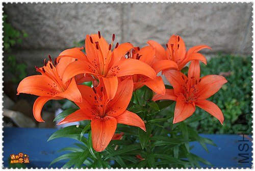 ��Ƭ 027_����.jpg