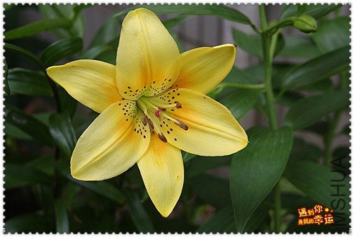 ��Ƭ 030_����.jpg