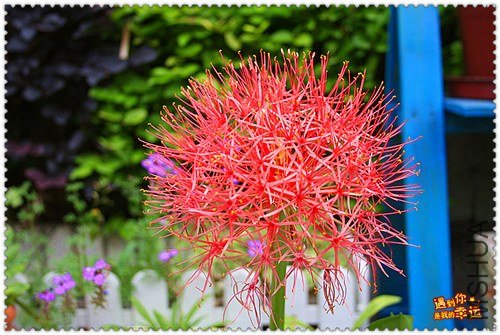 ��Ƭ 042_����.jpg