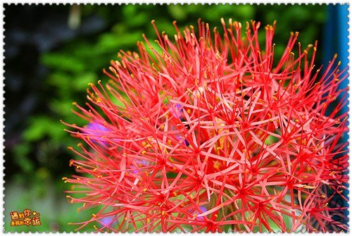 ��Ƭ 044_����.jpg