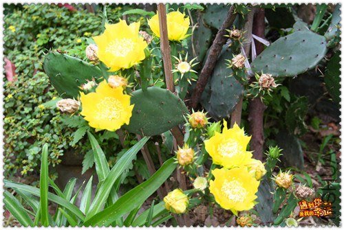 ��Ƭ 067_����.jpg