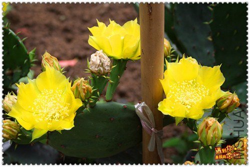 ��Ƭ 068_����.jpg