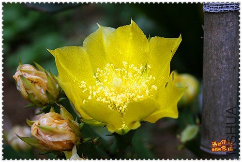 ��Ƭ 069_����.jpg