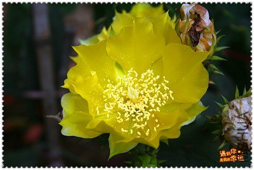 ��Ƭ 074_����.jpg